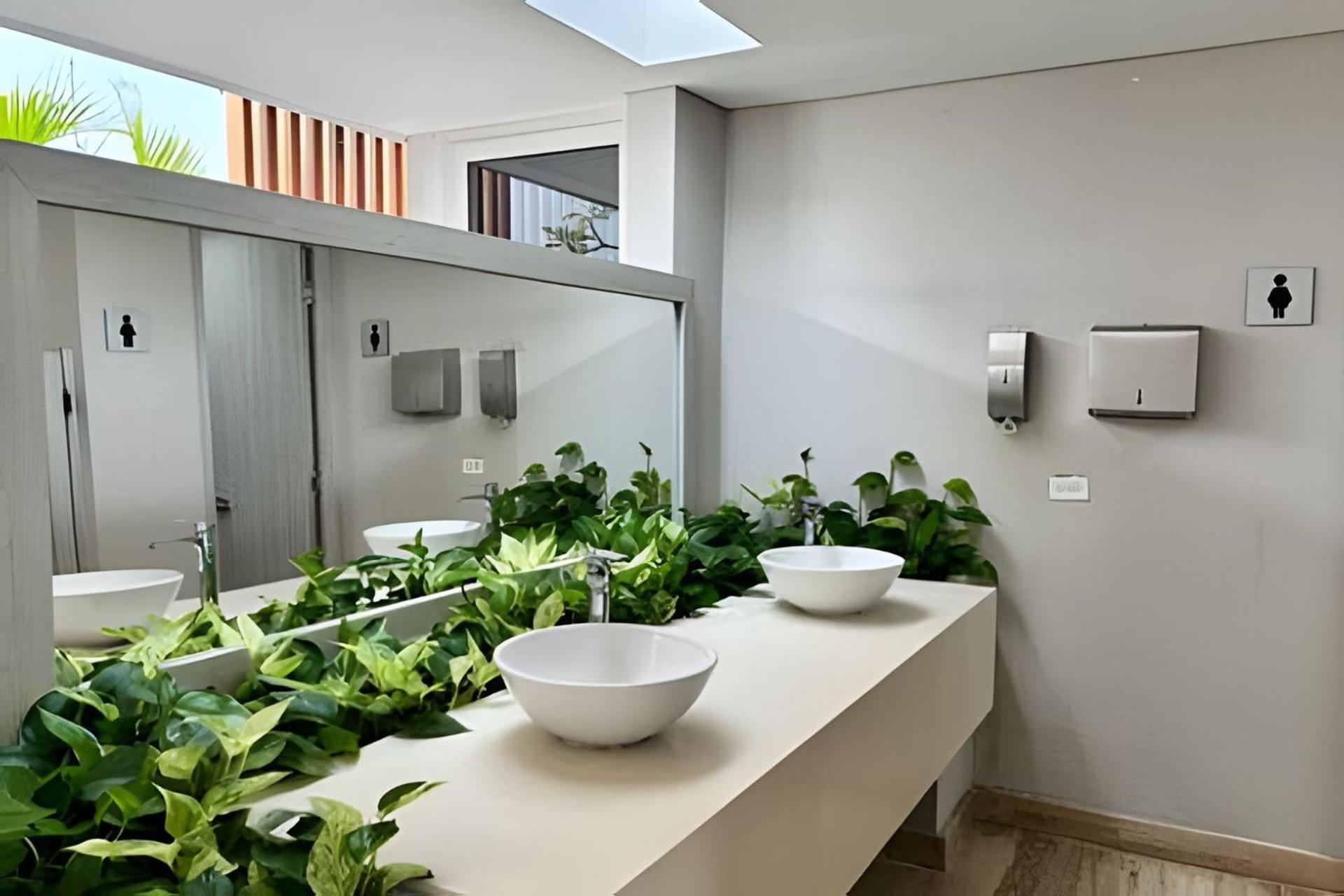 Apartment Martinique